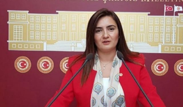 Sevda Erdan Kılıç: İthal etle yerli üretici bitiriliyor