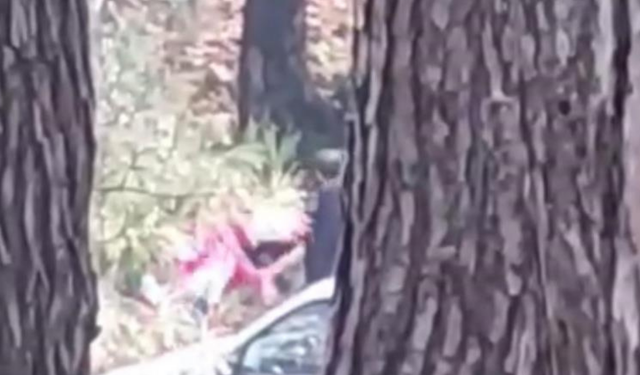 İzmir’de ormanlık alanda kadına şiddet: “İmdat” çığlıkları kamerada