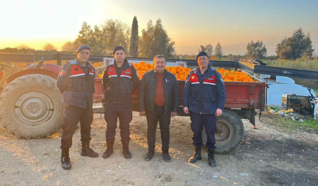Bahçeden çalınan 1,5 ton portakal satılamadan ele geçirildi