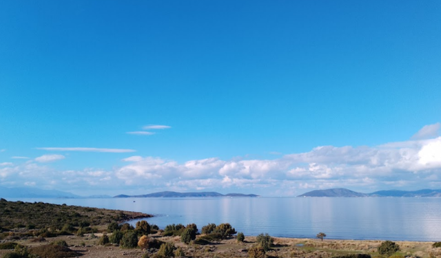 Çeşme Reisdere'de kıyı yağması; doğal sit alanına yüzde 95 oranında konut tehlikesi