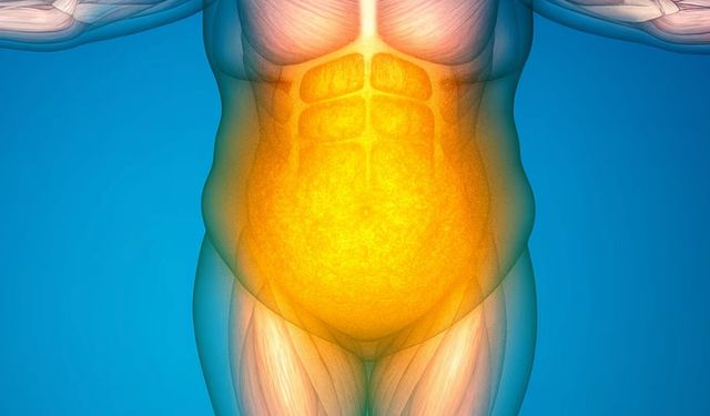 Kilo vermeyi yavaşlatan neden bulundu!