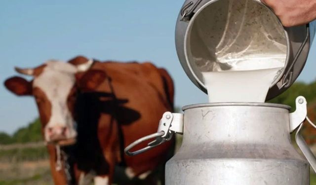 İzmir’de şap alarmı! O ilçede karantina uygulaması başlatıldı