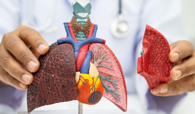 Zatürre ciddi risk taşıyan ve yüksek ölüm oranı görülen bir hastalık