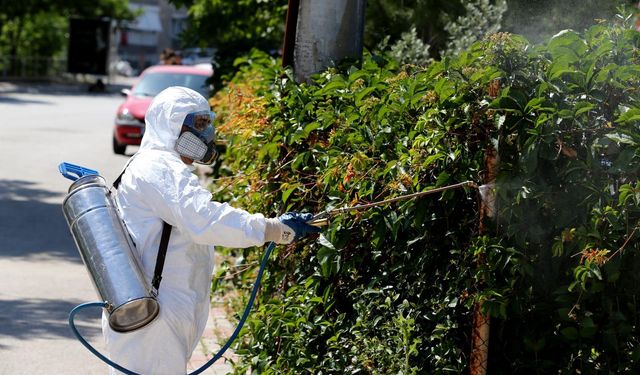 Karşıyaka Belediyesi’nden kışa özel ilaçlama seferberliği