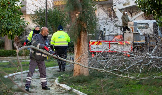 Narlıdere Belediyesi’nden ilçe genelinde yeşil dönüşüm seferberliği