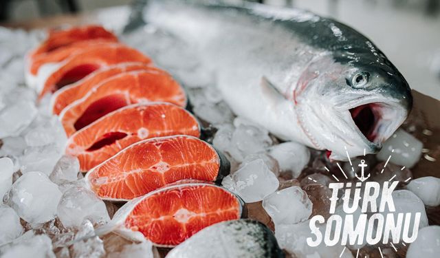 Türkiye’nin protein gücü ihracatta rekora koştu