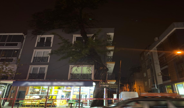 İzmir’de fırtına ağaçları devirdi: Buca’da bir ağaç binaya dayandı