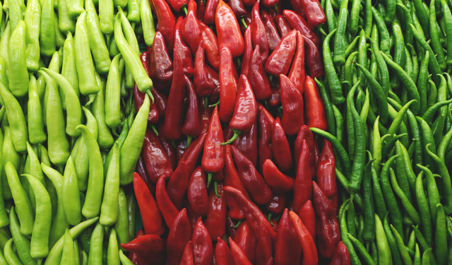 2025’te Batı Akdeniz’in ihracat lideri belli oldu