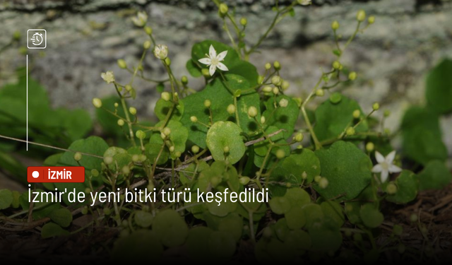 Yılmaz: Sanayide dönüşüm cari açığın kalıcı iyileşmesine güç veriyor