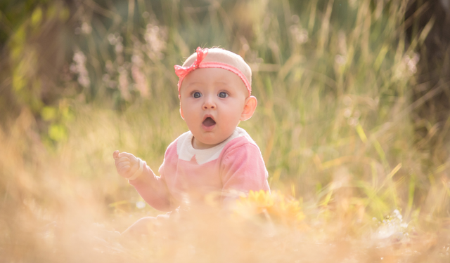 Hamilelikte protein tüketimi bebeğin yüz gelişimini etkileyebiliyor