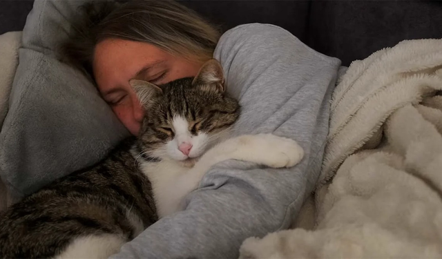 Kediniz neden gece yanınıza geliyor? İşte bilinmeyen sebepler