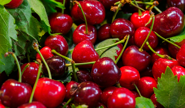 2026’nın ilk kirazı rekor fiyatla alıcı buldu