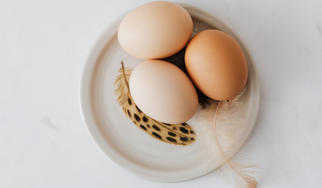 Tarım ve Orman Bakanlığı’ndan uyarı: Çiğ kek ve kurabiye hamurunun tadına bakmayın
