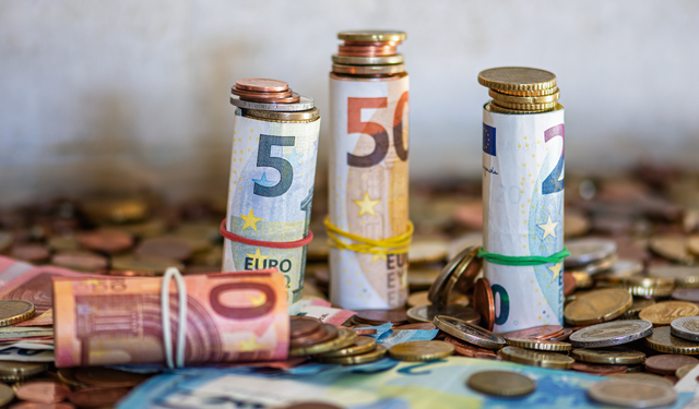 Dolar ve Euro 30 Ocak Cuma güne dalgalı başladı