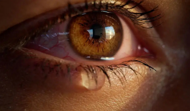 İnsanlar neden ağlar? Duygusal gözyaşının sırrı hala çözülebilmiş değil