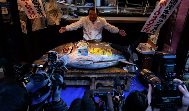 Tokyo’daki 243 kiloluk dev orkinos 3.2 milyon dolara alıcı buldu