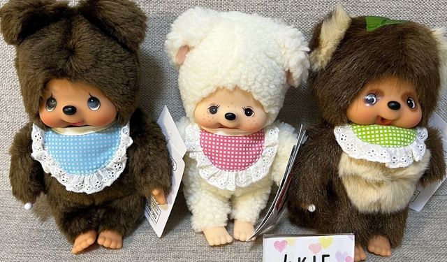 Labubu’dan sonra trend oldu: Fiyatı dudak uçuklatıyor