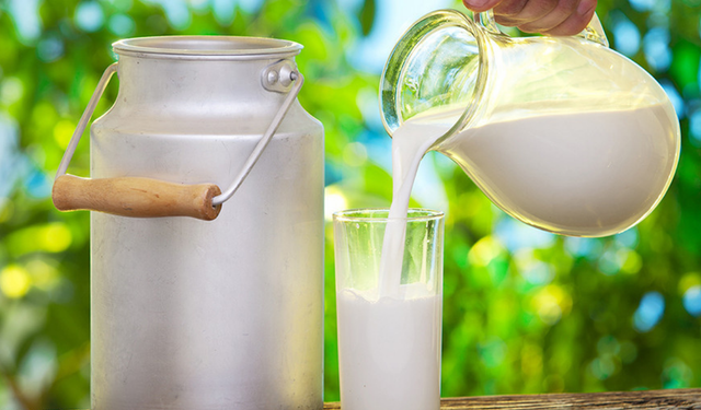 Ulusal Süt Konseyi duyurdu: Çiğ süt fiyatı belli oldu