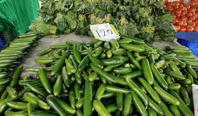 İzmir’de semt pazarlarında salatalık fiyatı cep yakıyor