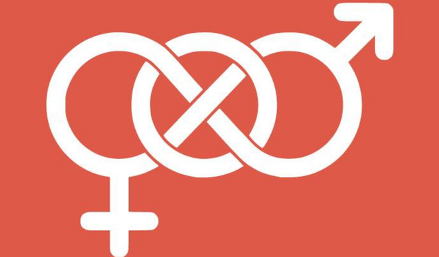 Cinsiyet değişikliği sürecine yeni ve daha sıkı düzenleme taslağı hazırlanıyor