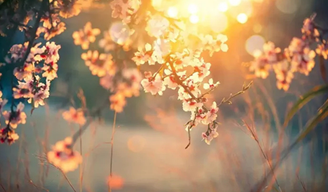 2026 yılının ilk cemresi ne zaman düşecek?