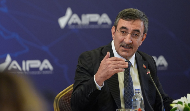 Cumhurbaşkanı Yardımcısı: Dalgalanmalar olabilir ama genel istikamet daha düşük enflasyona doğru