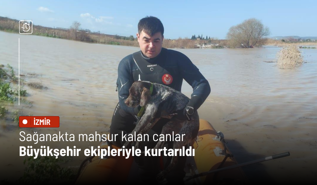 Sağanakta mahsur kalan canlar Büyükşehir ekipleriyle kurtarıldı