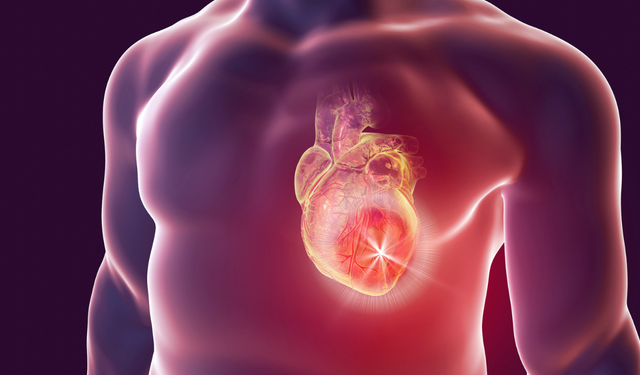 Doç. Dr. Güz uyardı: Göğüs ağrısını hafife almayın, kalp krizi saatler içinde ağırlaşabilir