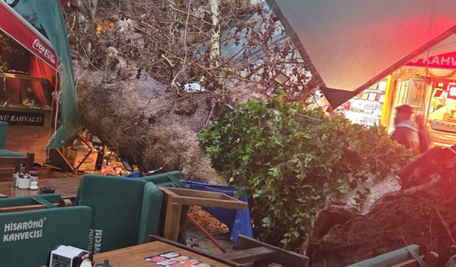 Fırtına Kemeraltı’nı vurdu: Kızlar Ağası Hanı önünde ağaç devrildi
