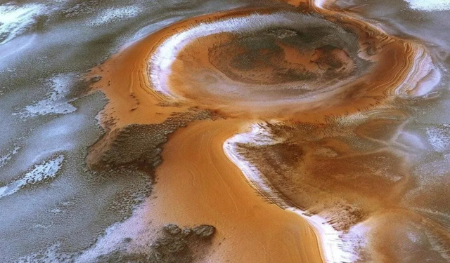 Bilim insanlarını şaşırtan buluş: Ekmek mayası Mars’ta bile hayatta kalabiliyor