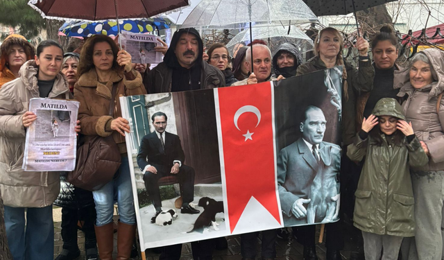 Karşıyakalı hayvanseverler 14 yıldır Latife Hanım Köşkü'nde yaşayan ve kaybolan Mathilda için ayaklandı