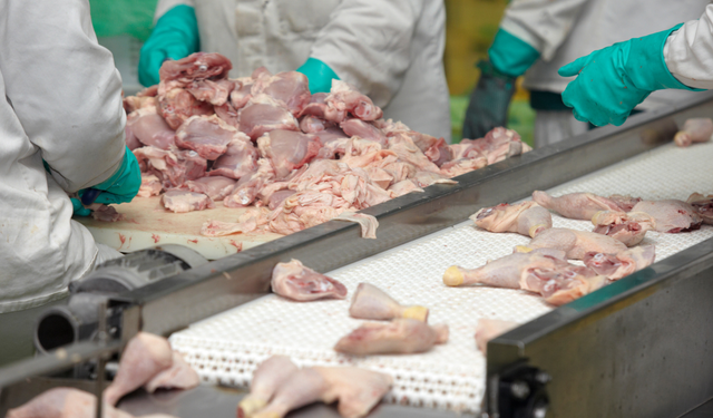 Ticaret Bakanlığı’ndan tavuk eti için kritik karar: İhracat durduruldu