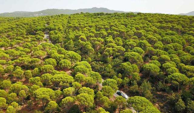 Bergama Kozak’ta patlatmalı granit ocağı planı halka sorulacak