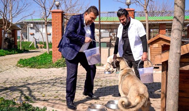 Seferihisar’da israf bitti, bereket başladı: Yemek artıkları mamaya dönüşüyor!