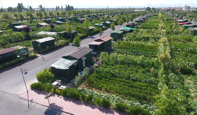 Tarlaya ev yapanlara kötü haber: Hobi bahçelerine sıkı denetim ve cezalar geliyor