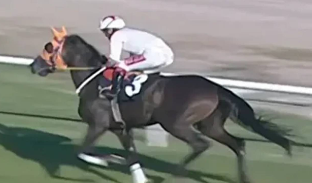 İngiliz basınında gündem oldu: Mersin’de “Şampiyon Atın Kavurması” skandalı