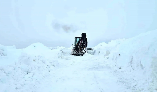 Süphan Dağı tırmanışına tipi engeli: İzmirli dağcılar geri döndü