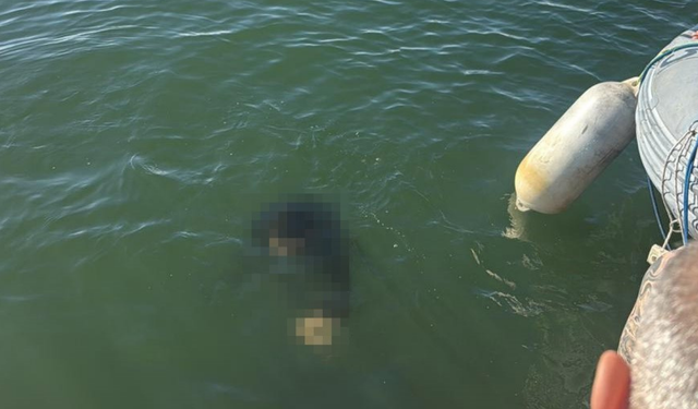 İzmir Konak’ta acı olay: Akülü sandalye ile denize düşen kişi hayatını kaybetti