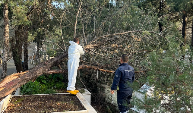 İzmir'de fırtınanın zarar verdiği mezarlıklarda onarım başladı