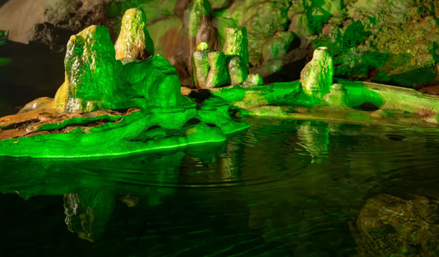 Kamboçya’daki mağarada farklı bir dünya ortaya çıktı: Uçan yılan ve birçok yeni canlı türü keşfedildi