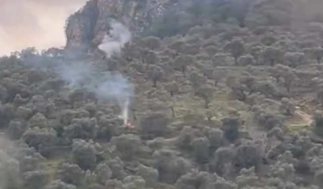 Şirince çıkışında ormanlık alanda yangın paniği