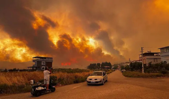 Bakanlık açıkladı: 2025’te Türkiye'de orman yangını en çok İzmir’de çıktı