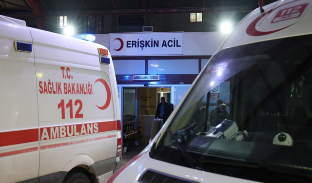 Tatil için gelmişti: Kene ısırığı can aldı