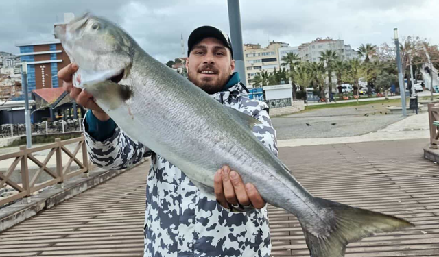 Bayraklı'da dev balık yakalandı