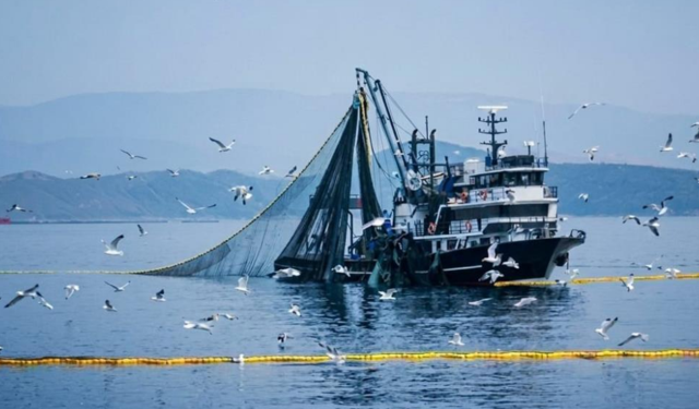 Denizlerde av yasağı 15 Nisan'da başlıyor