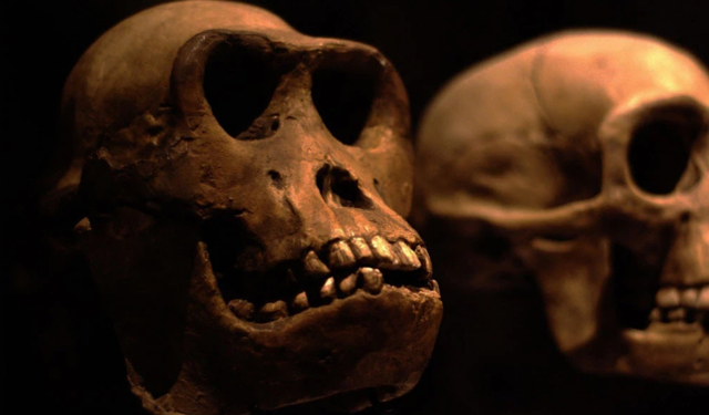 İnsanlık bir milyon yıl sonra nasıl görünecek?