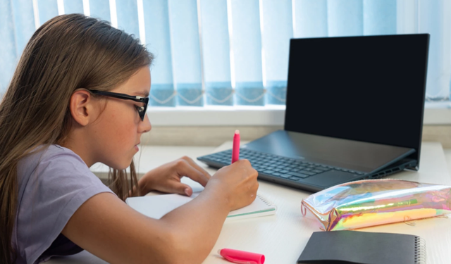 İsveç eğitimde dijitali terk edip kağıt kaleme geri dönüyor