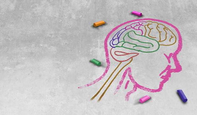 Hafıza nasıl çalışıyor?