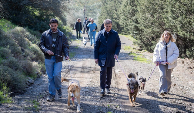 İzmir’de 3 binin üzerinde hayvan sahiplendirildi: Satın alma, sahiplen çağrısı yinelendi