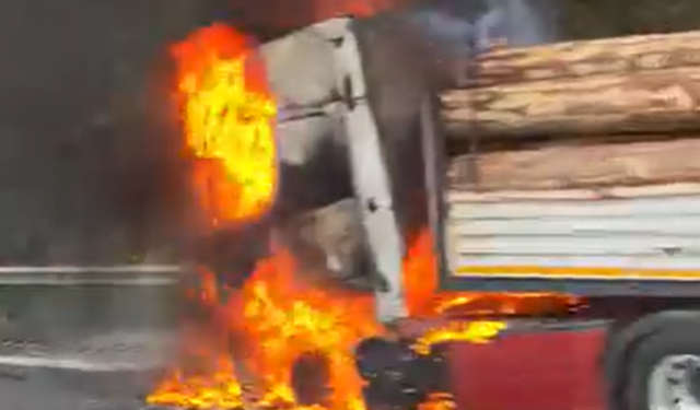 İzmir-Aydın yolunda tomruk yüklü TIR alev aldı